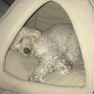 Meet your Posher, Ria